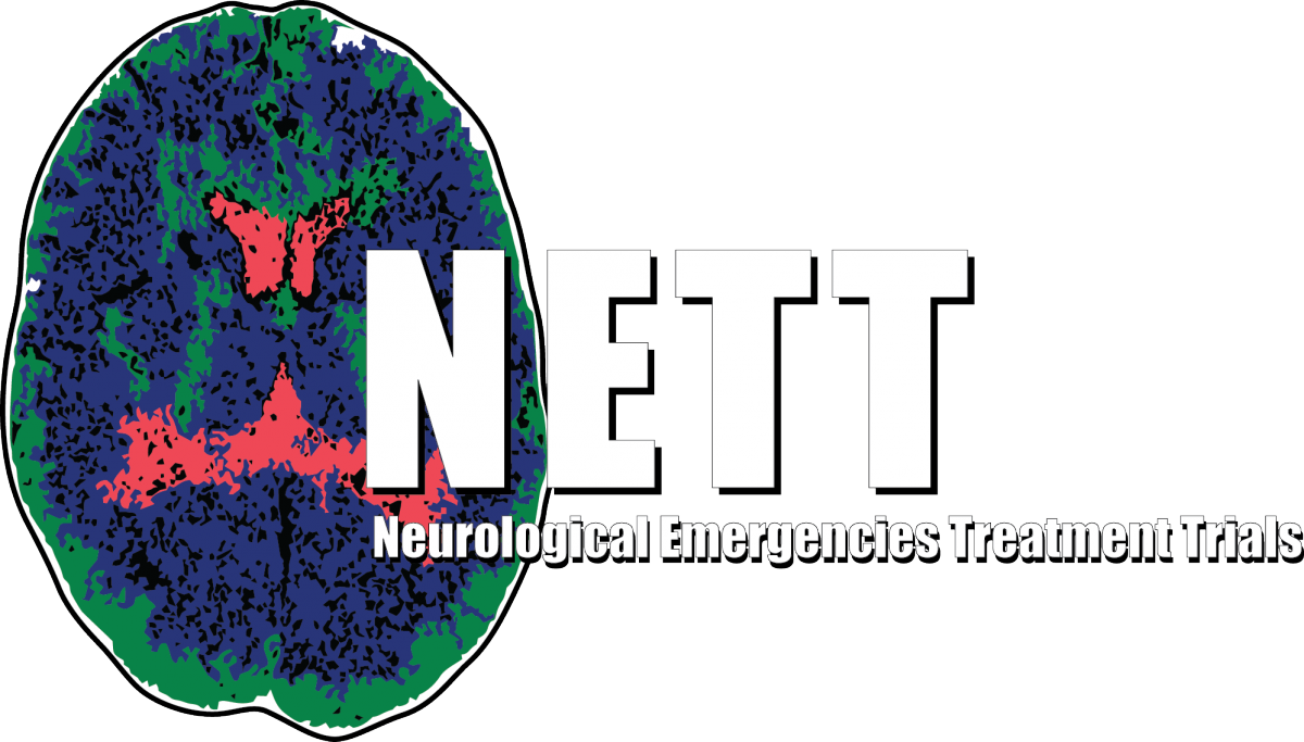 NETT horizontal text logo