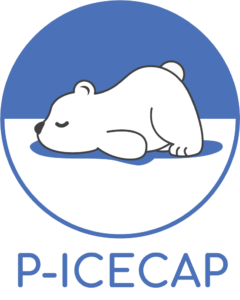 P-ICECAP
