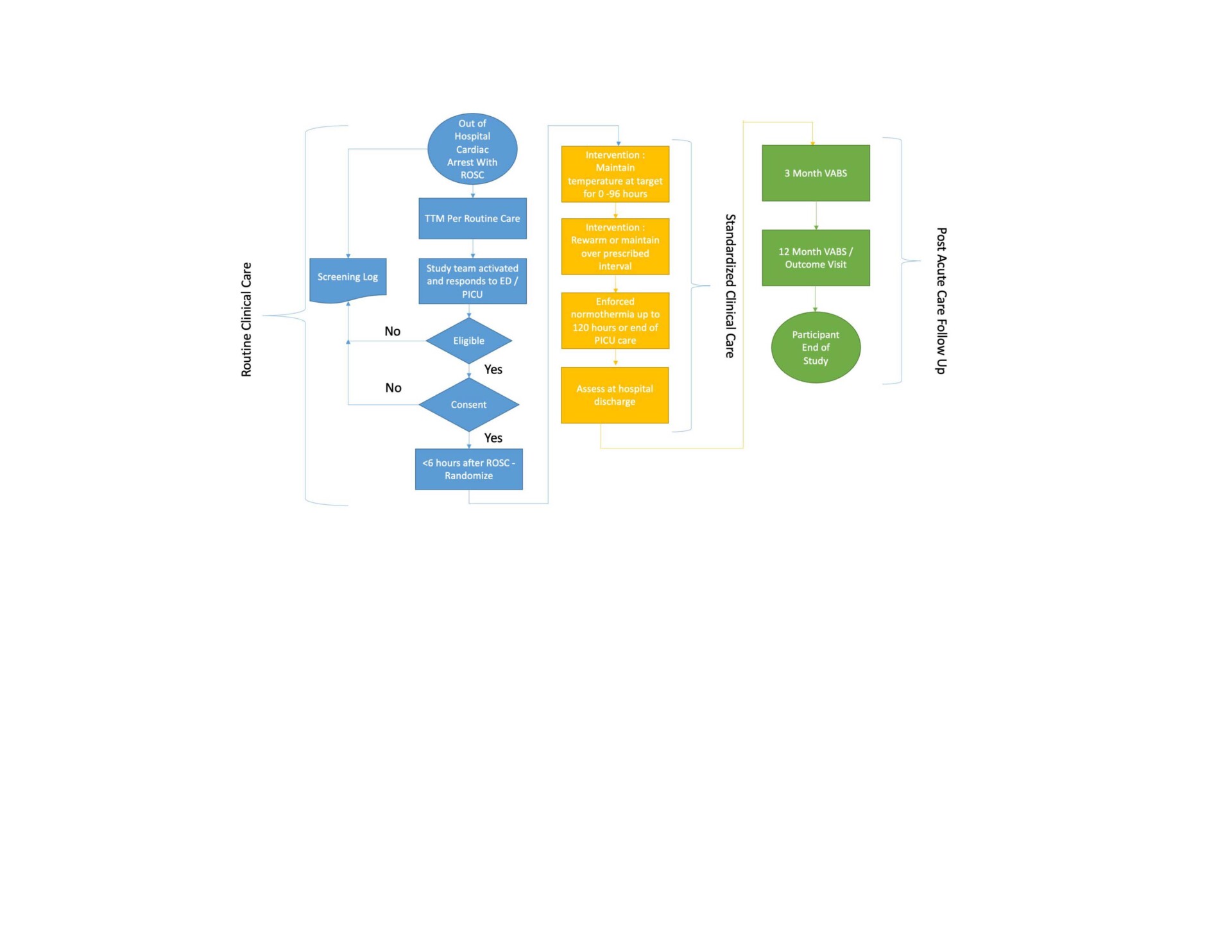 P-ICECAP enrollment flow diagram